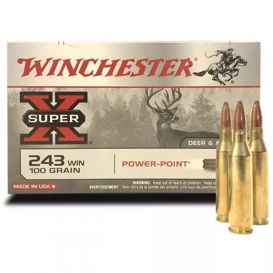 CART 243W 100GR PP BT20/200