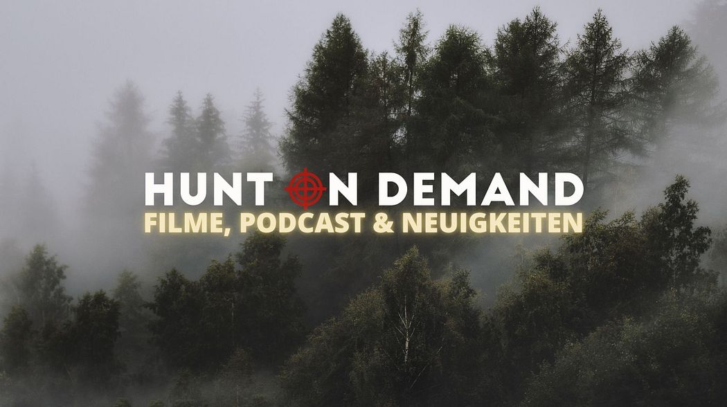 Filme, Podcast & Neuigkeiten!