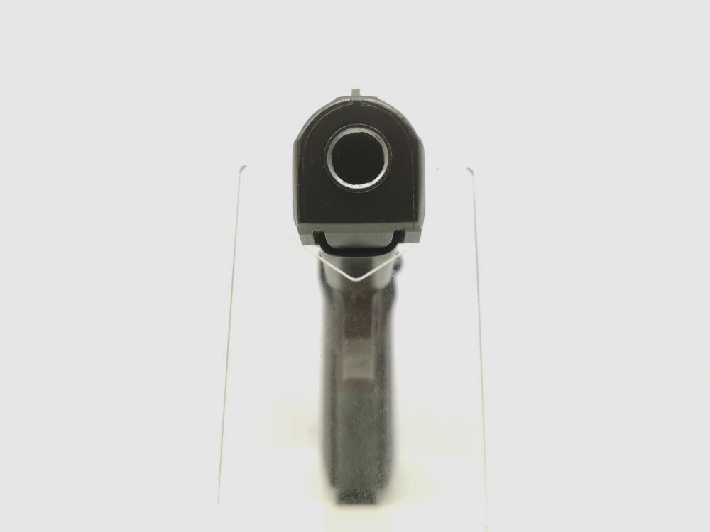 Radom P-83 Wanad