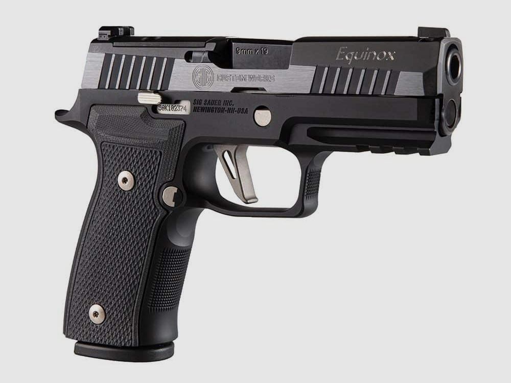 Sig Sauer P320 AXG Equinox, image 4 of 5