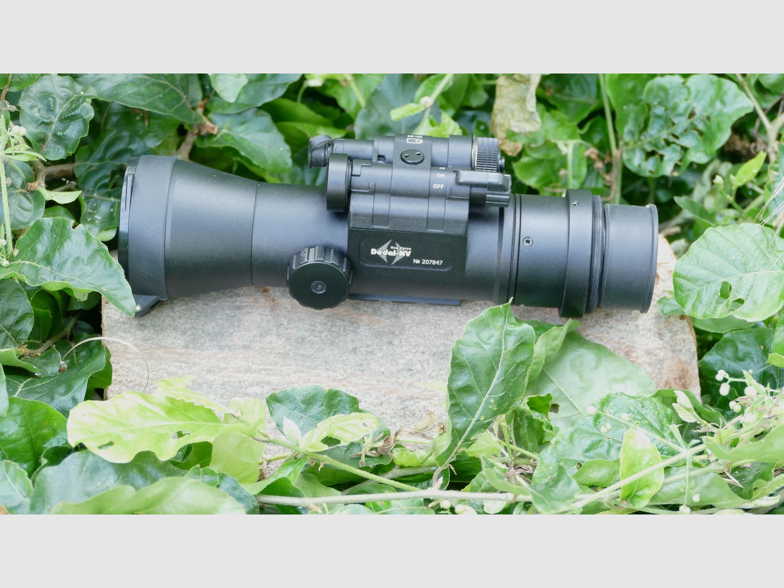Dedal 552, Bild 6 von 7