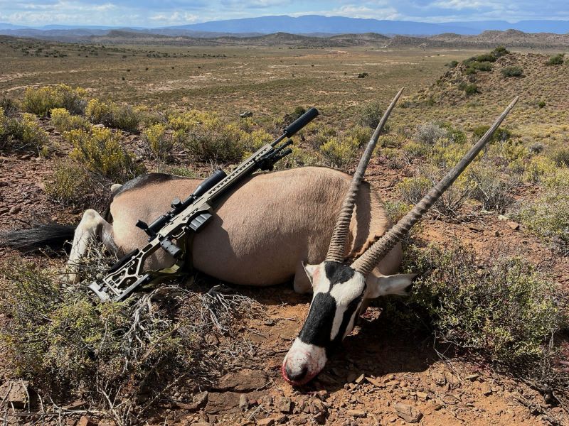 Jagen in Südafrika - Westkap Hammer Safaris