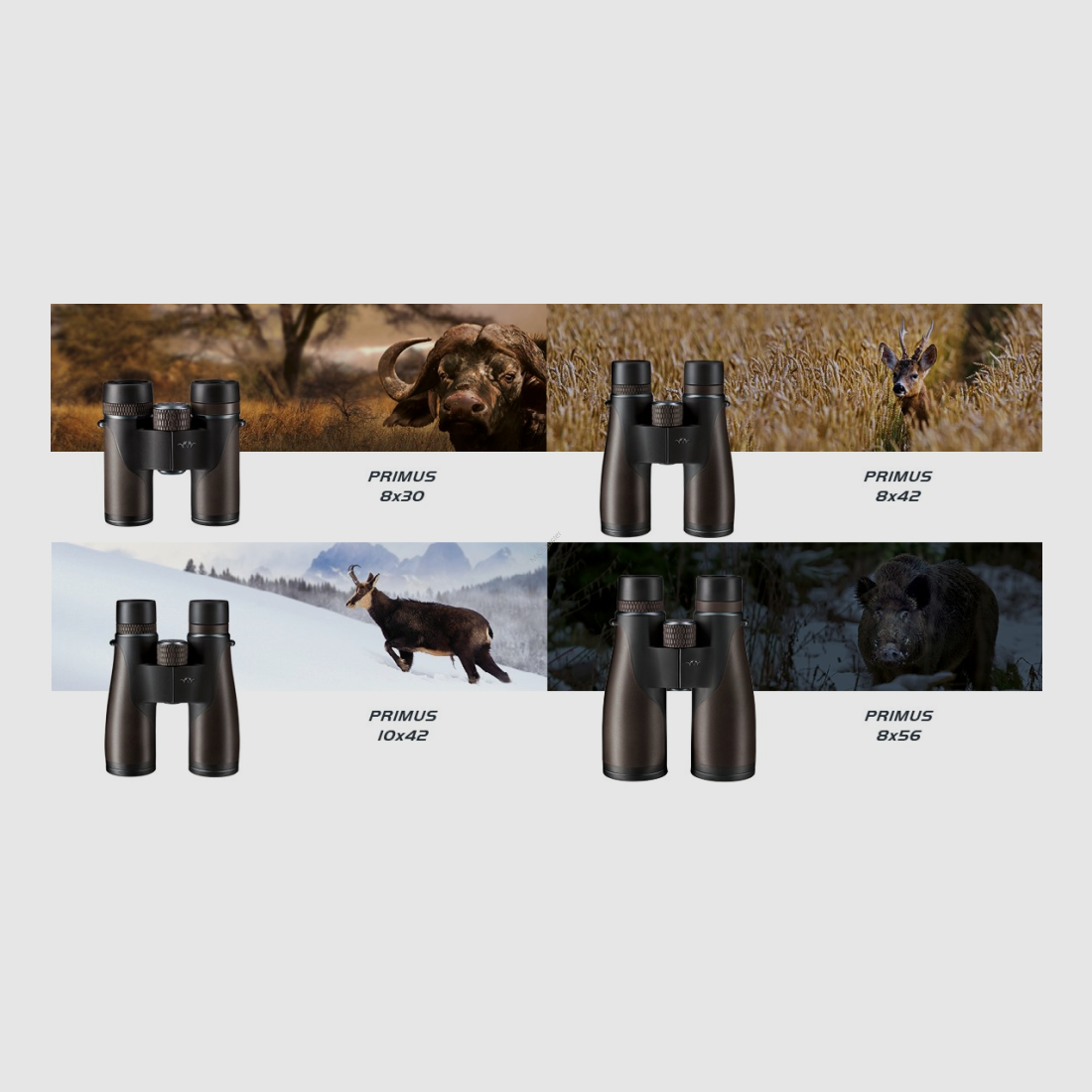 Blaser 8×30, imagen 3 de 3