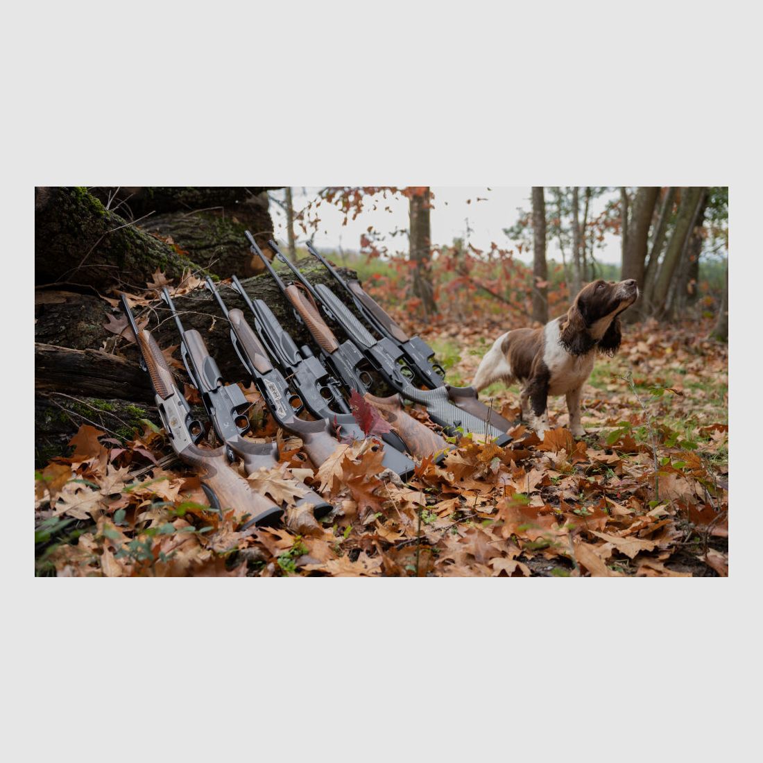 Verney Carron Linergie Clásico Zurdo 308 - .308 WIN