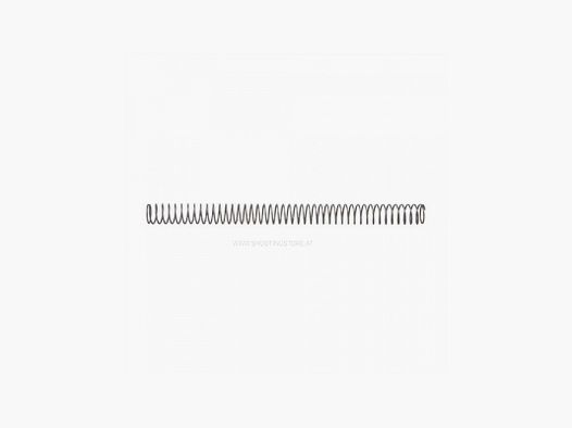 AR15 BUFFER SPRING CARBINE