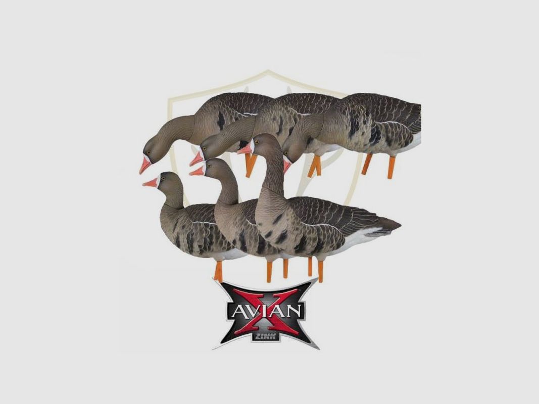 KIT Formen Avian-X Gans Lombardella Full Body 9014, Bild 1 von 5