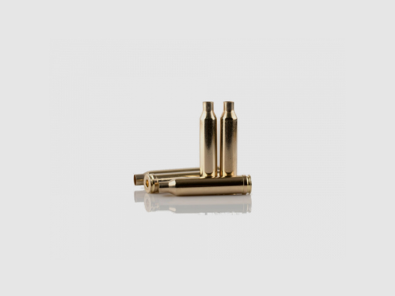 PPU HÜLSEN .22 HORNET - 50 STÜCK - MESSING