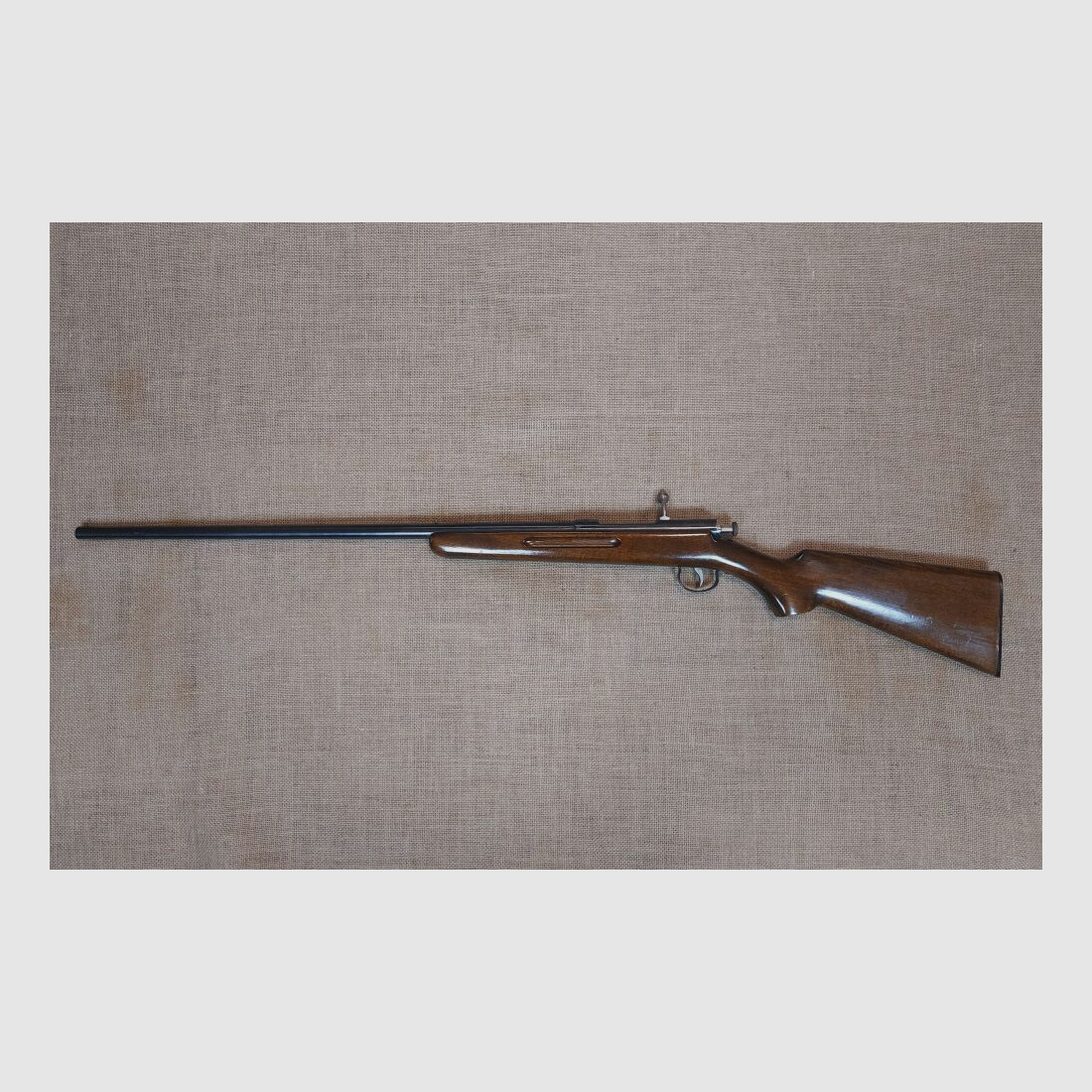 Anschütz, Ulm shotgun