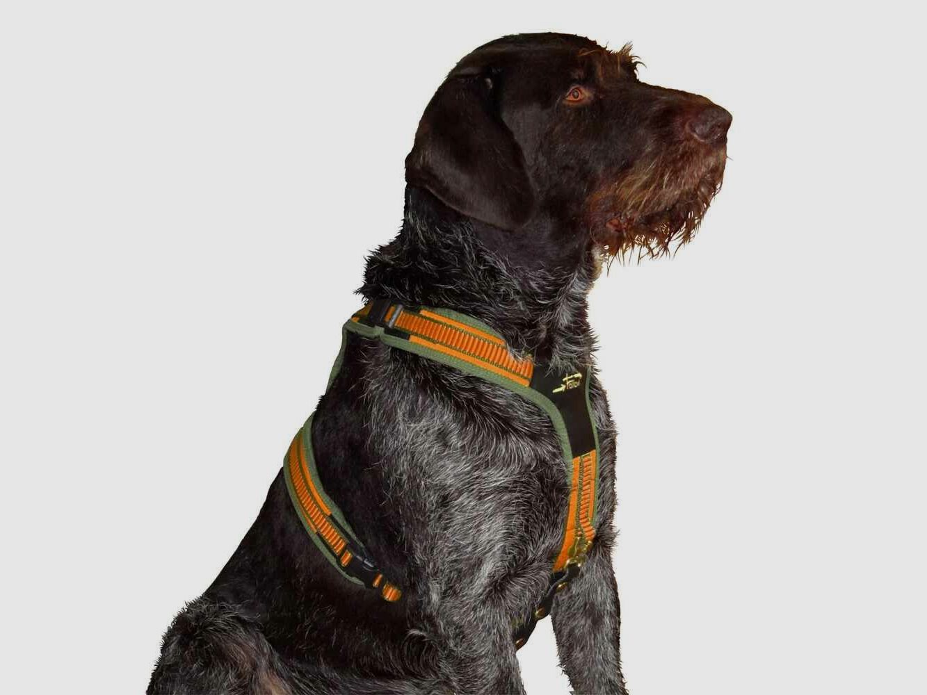 Niggeloh dog harness Niggeloh Follow 3