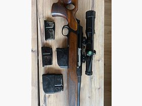 Sauer 303