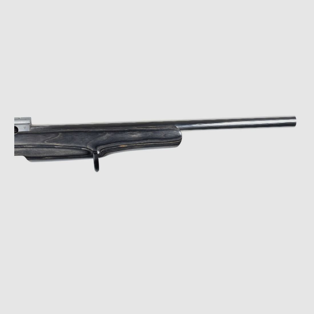 Ruger 10/22
