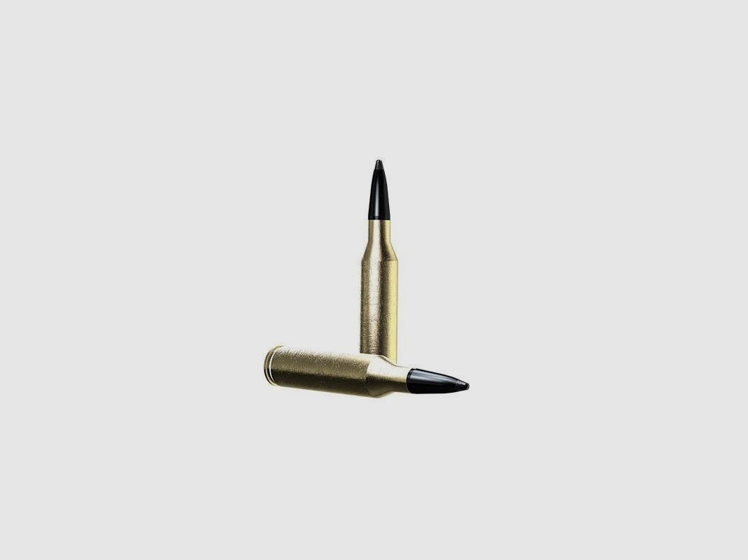 Norma .308 Win Odin 10,5 g 162 gr, image 2 sur 3