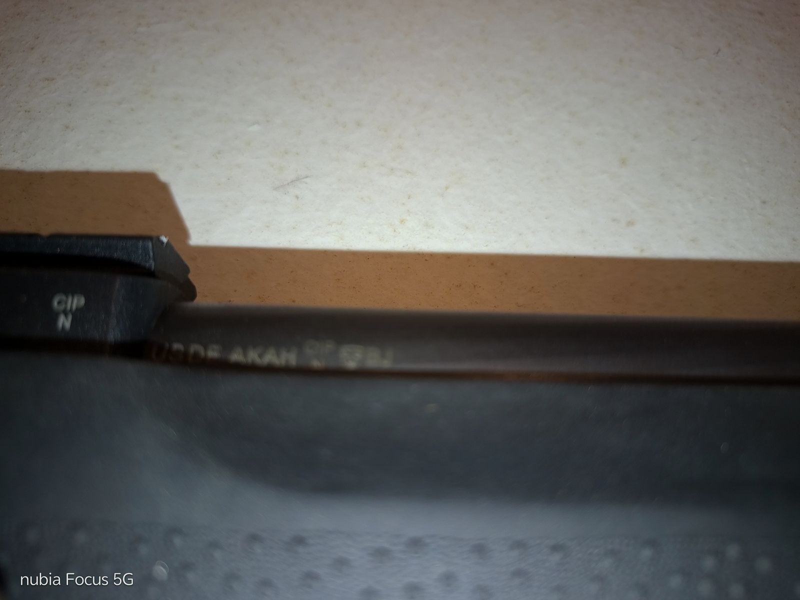 Ruger 10/22 