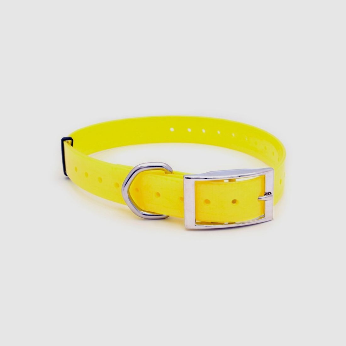 Collar Arcea Polytec 38mm, Bild 6 von 11