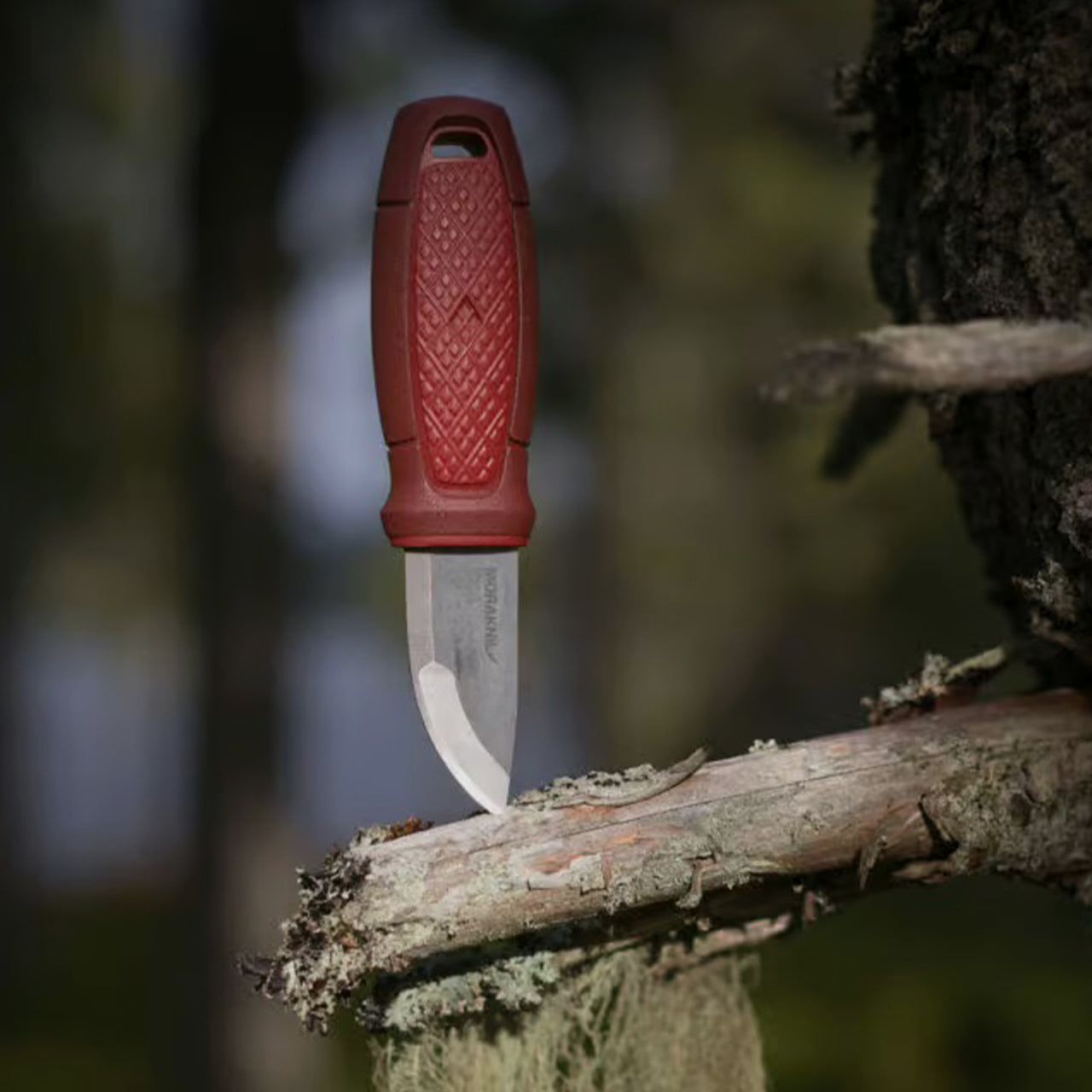 Kompaktmesser Morakniv Eldris mit Gürtelöse (S) aus Edelstahl 12C27, Bild 15 von 20
