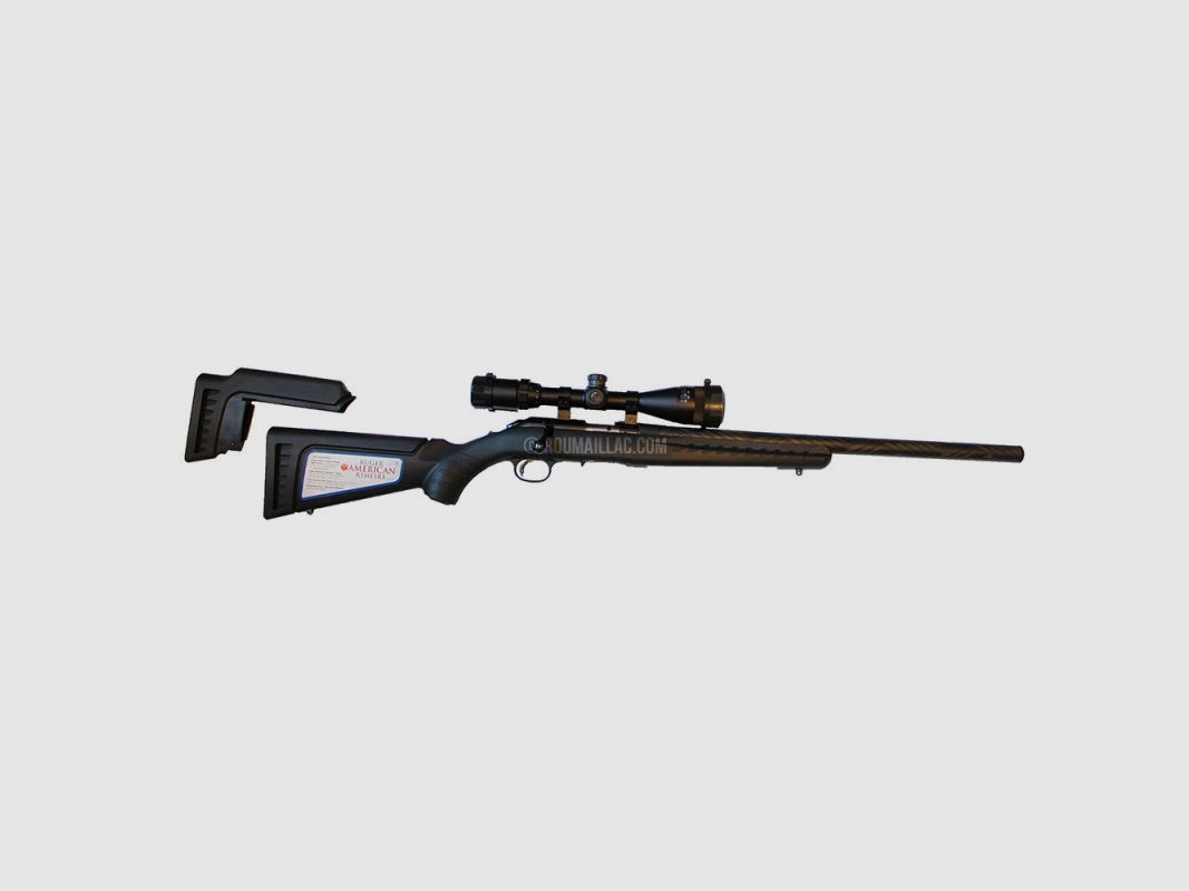 CARABINE CUSTOM CARA RUGER AMERICAN RIMFIRE