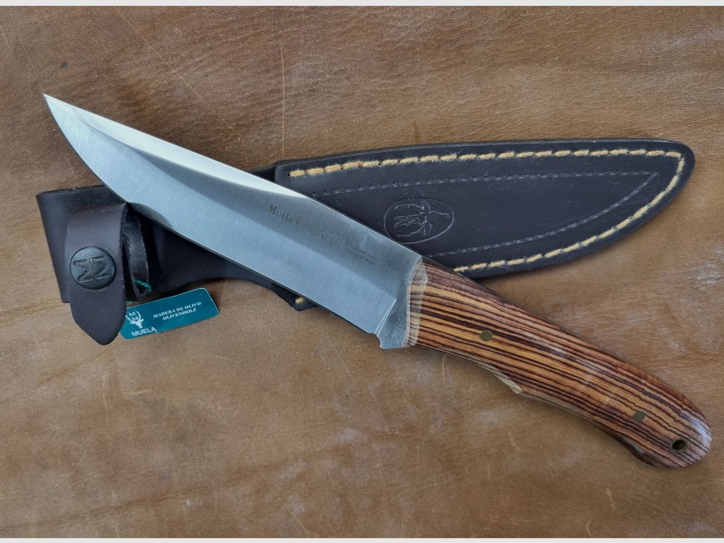 Muela Messer Pioneer-14 Palisander mit hochwertiger Lederscheide