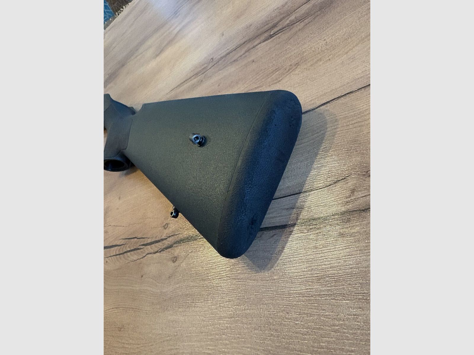 Blaser R8 Professional