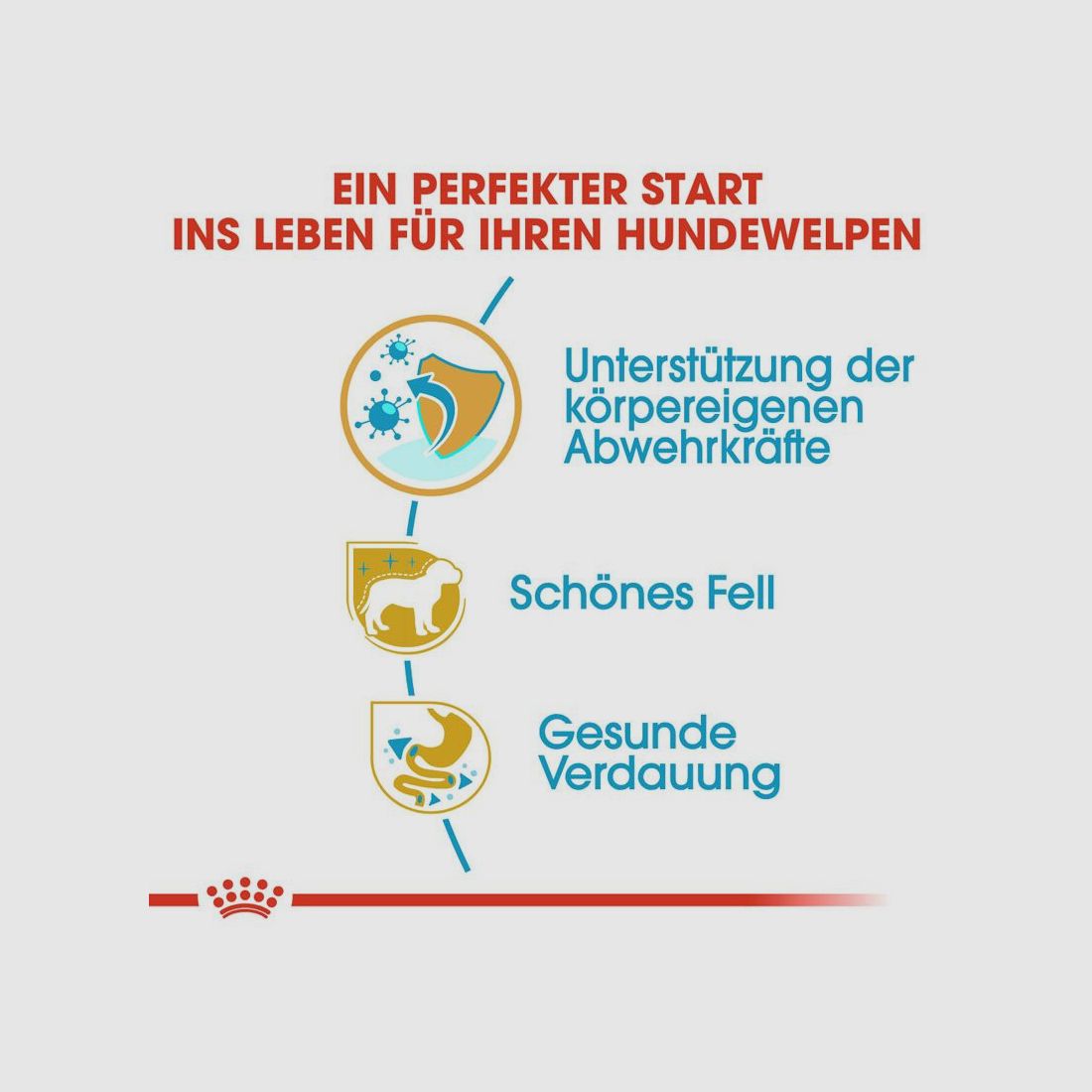 ROYAL CANIN Pudel Trockenfutter Welpen 3 Kg