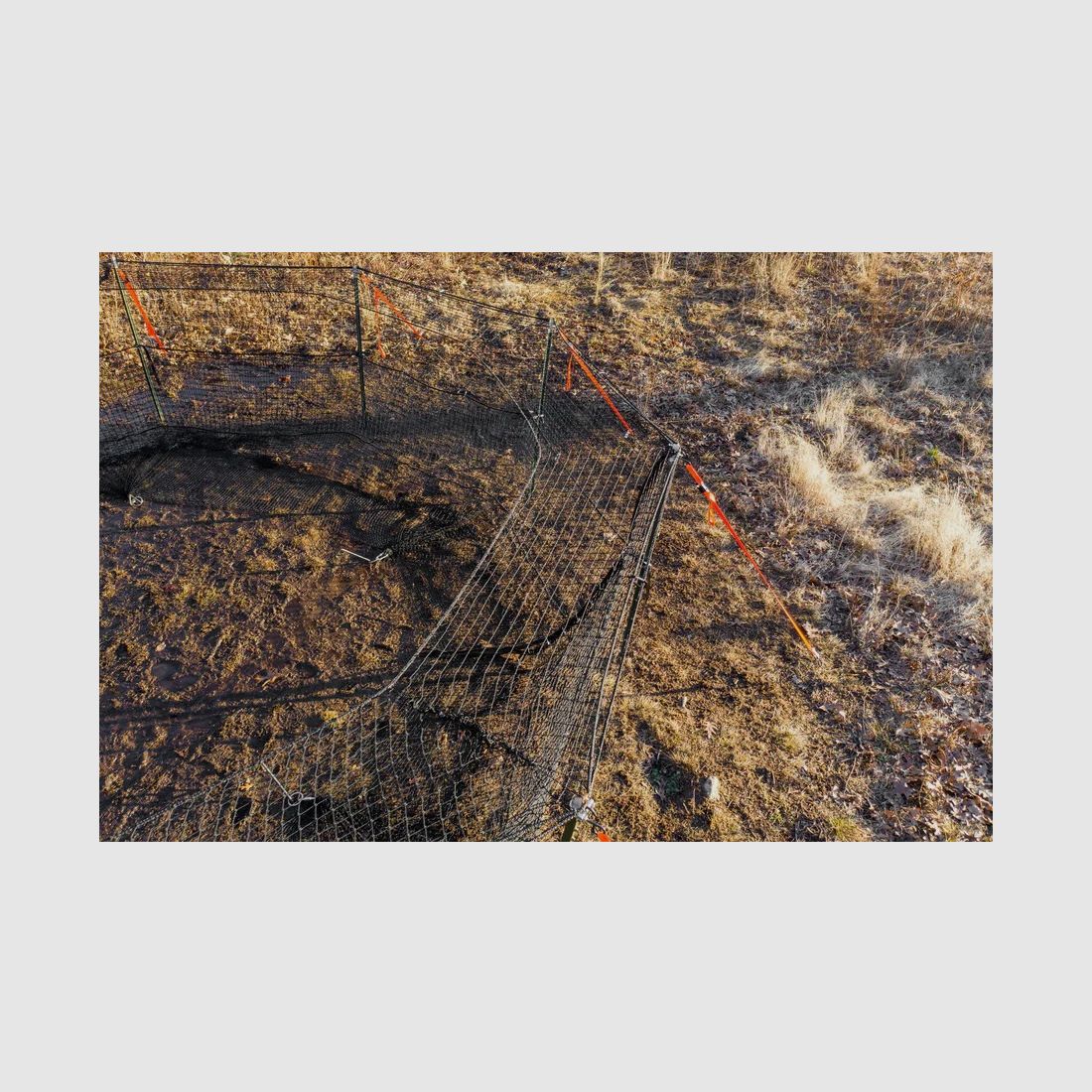 Pig Brig Trap Cap, image 5 sur 6
