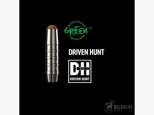 RWS Driven Hunt SR (carabine courte)