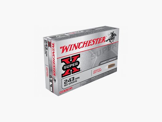 Munitions Winchester 243 power point 80gr