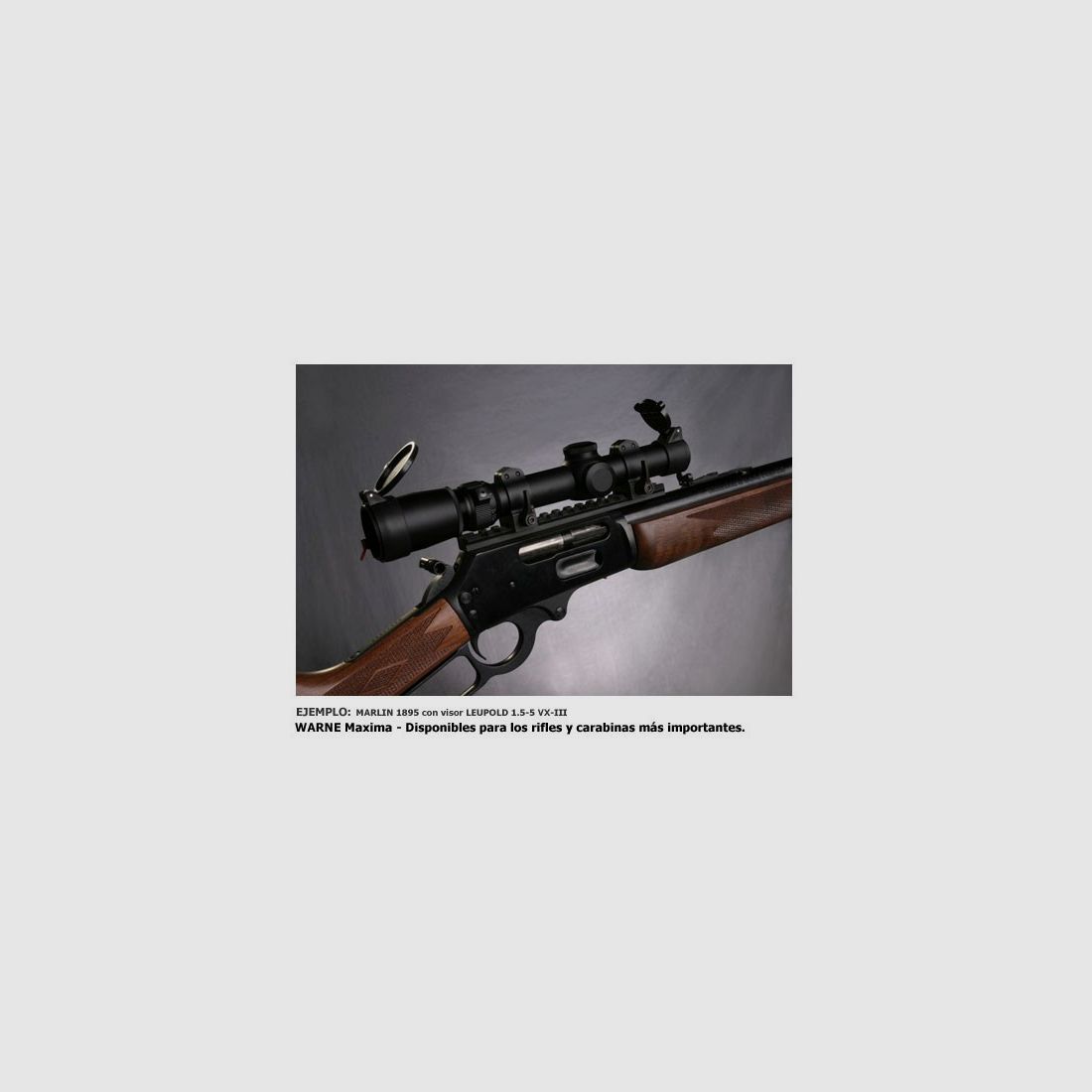 Ringpaar WARNE 30mm. [Abnehmbar] – Extra hoch, Bild 2 von 5