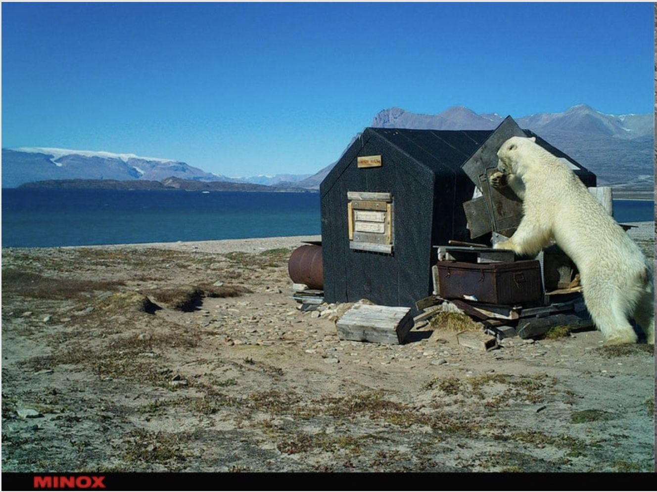 Minox 80406283 DTC 1200 4G Wildkamera Beobachtungskamera Fotofalle