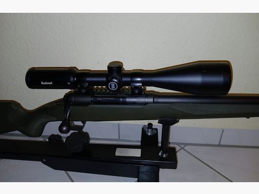 .308 Savage Hog Hunter