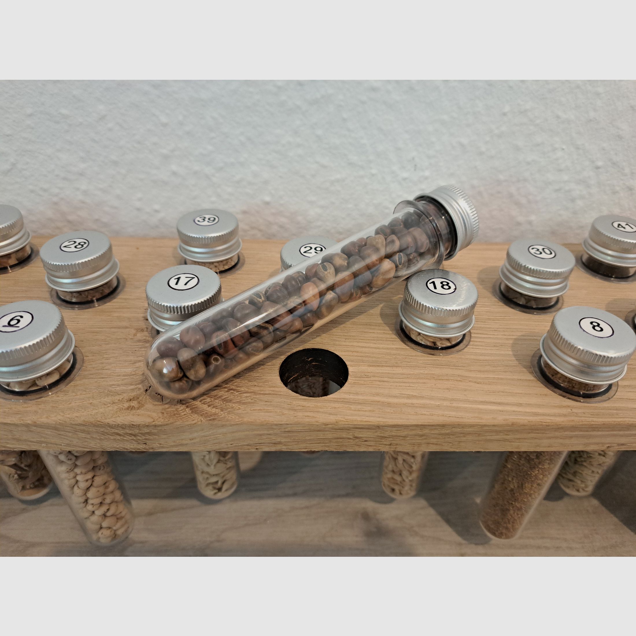 Saatgut Sammlung + Beschreibungsordner + Word-Datei + Eichen Regal  für Lehrzwecke