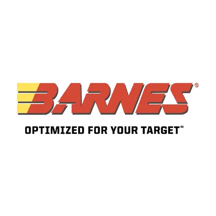 Barnes .338 Win. Mag. Vor-TX International TTSX 14,6g/225grs.