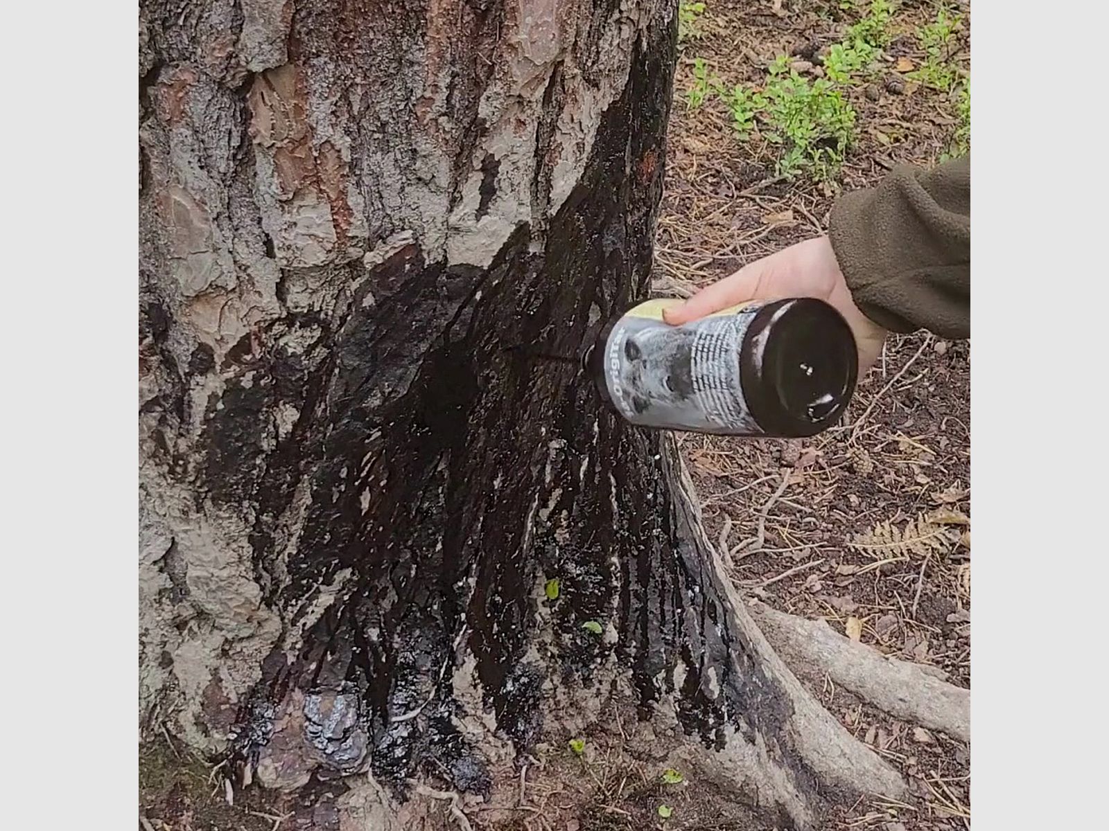 1A-HUNTING SUPPLIES 1a-OrigiTar Locking Agent 1.2kg