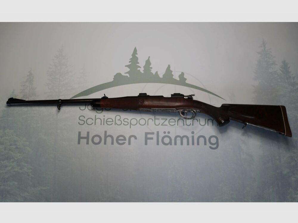 DWM Modello Argentino 1909 .30-06Spring