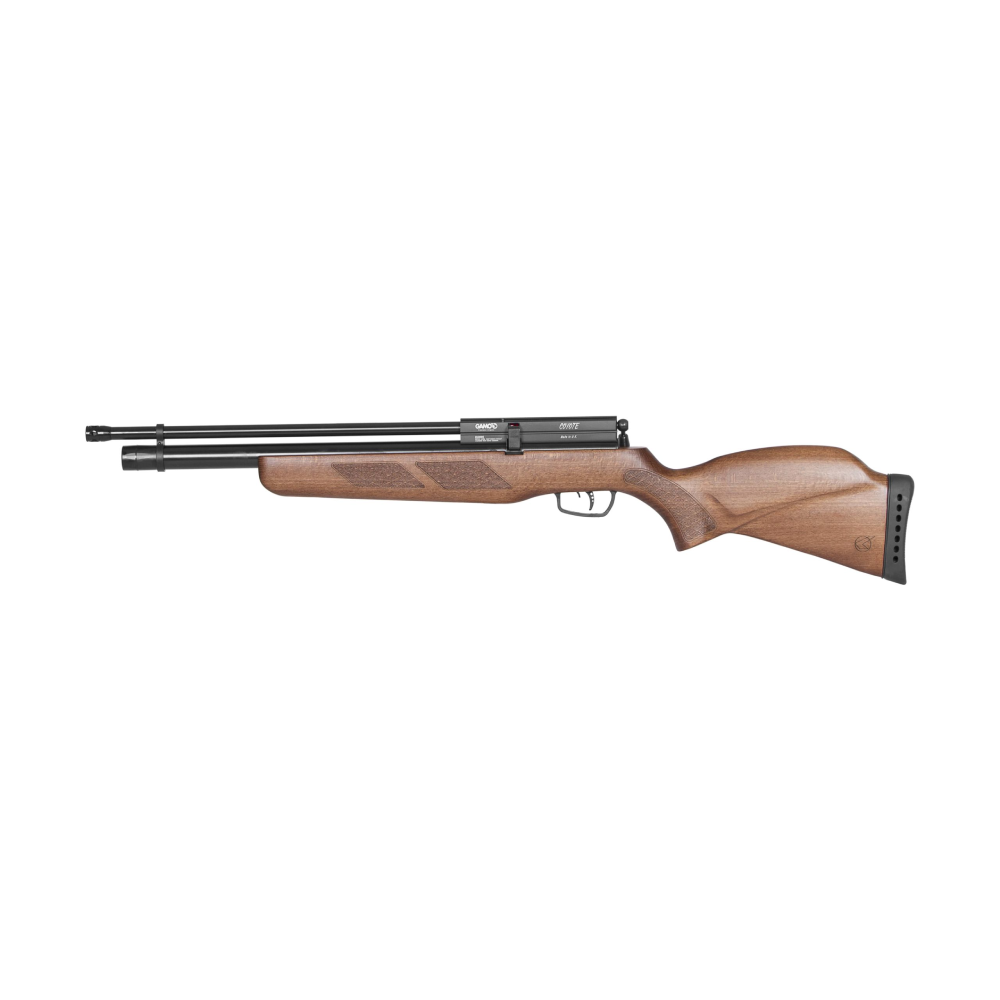GAMO COYOTE PCP, image 2 sur 3