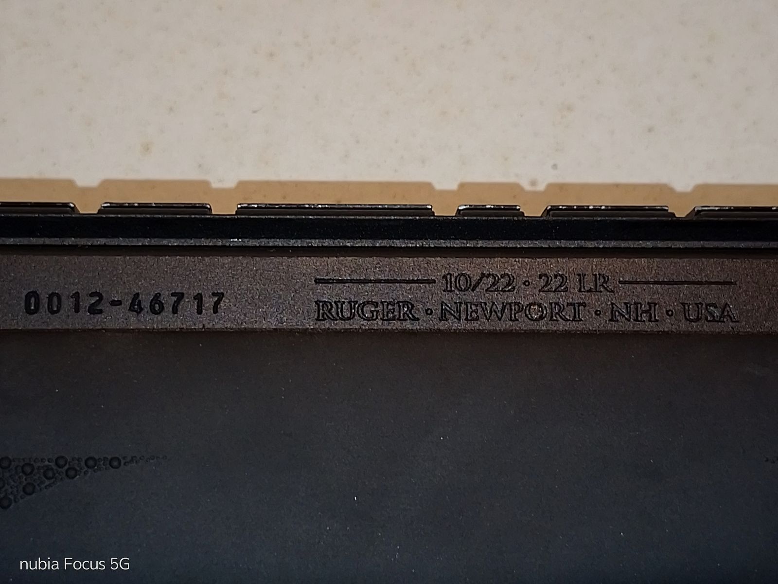 Ruger 10/22 