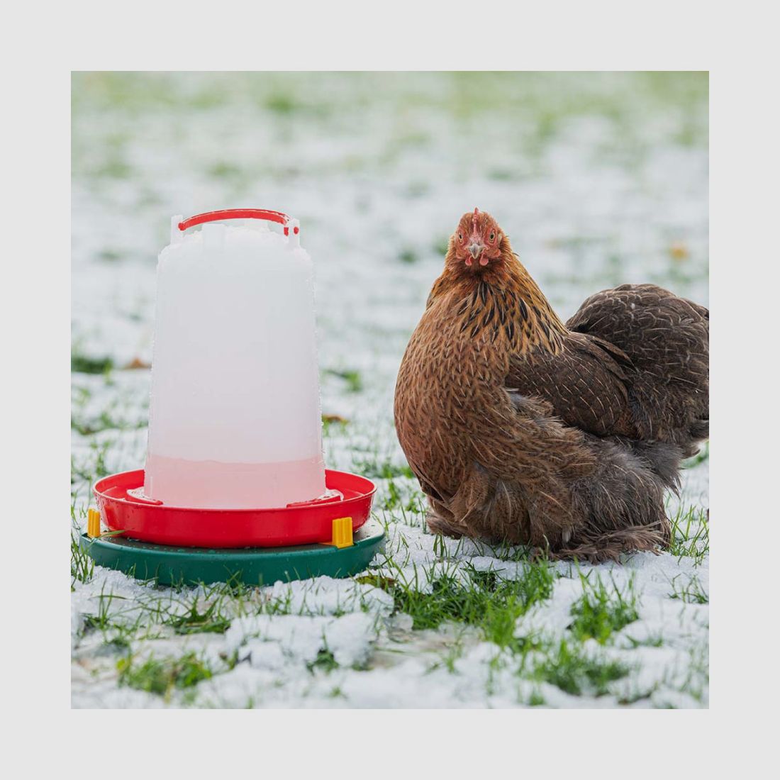 Drinking trough heater Ø 30 cm, image 3 of 4