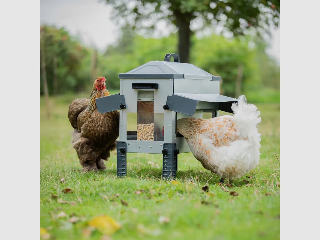 Futterstelle Robust® Große Öffnung 24kg - Verzinkter Stahl für Geflügel, Enten und Gänse, Bild 5 von 16