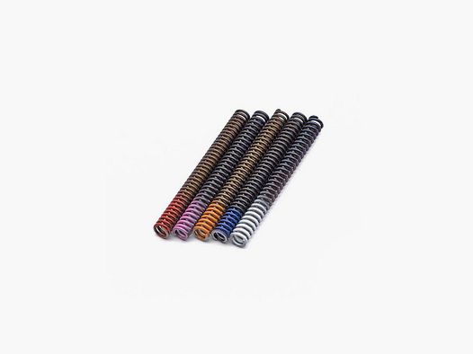 Eemann Tech Main Springs Calibration Pack for CZ