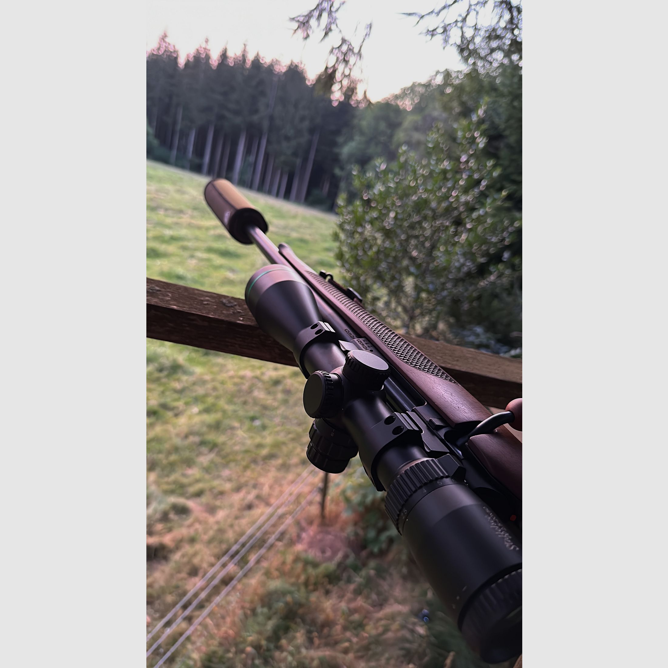 Cz 600 Lux im Kaliber 223 mit Schalldämpfer, Montage und Meopta 4,5-27