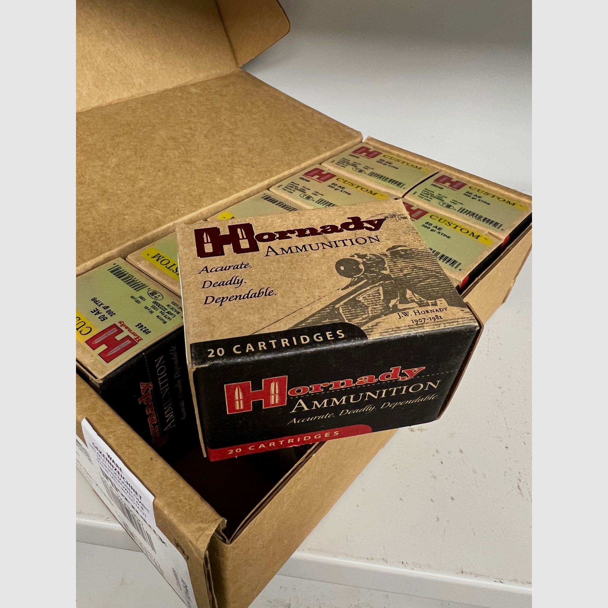 50AE 300 gr XTP Hornady