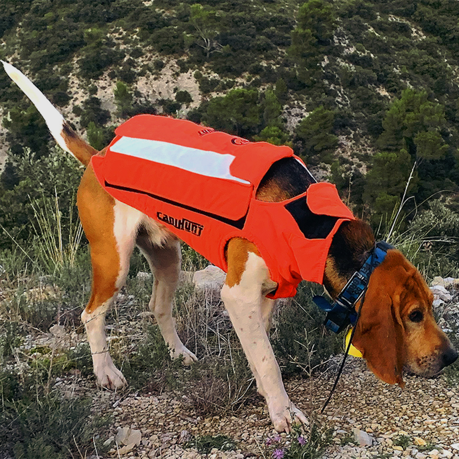 CaniHunt Protect Light Vest, afbeelding 5 van 5