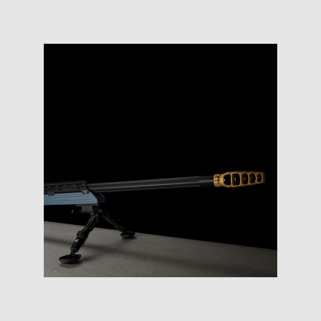 Carabine VICTRIX Crown MK2 38" Cal 408 CheyTac, image 11 sur 14