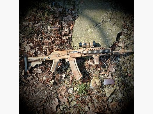 CUSTOMGUN: SA-J05 EDGE 2.0 'Desert Operator' mit GATE ASTER V3