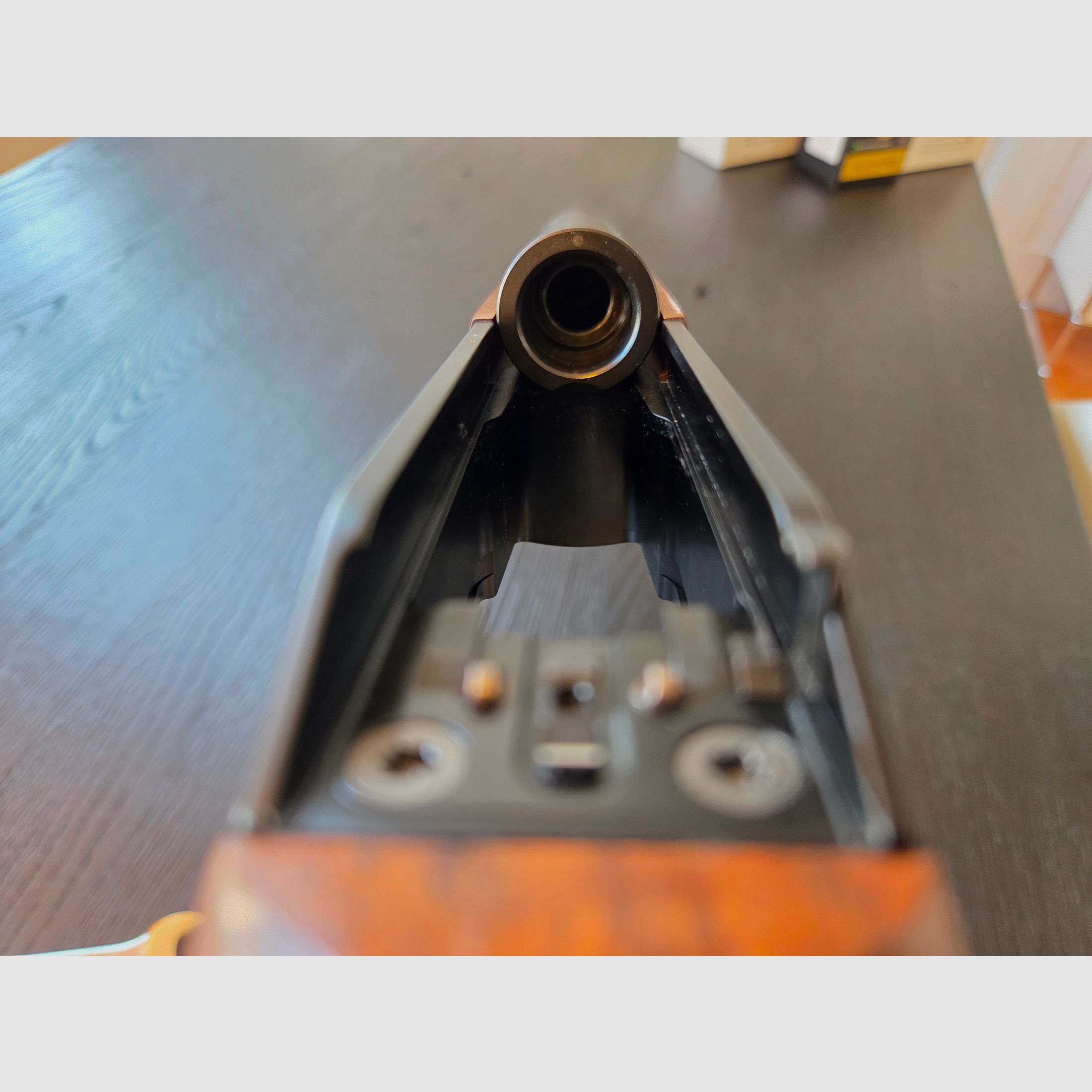 Blaser R8 8,5×55 Silence