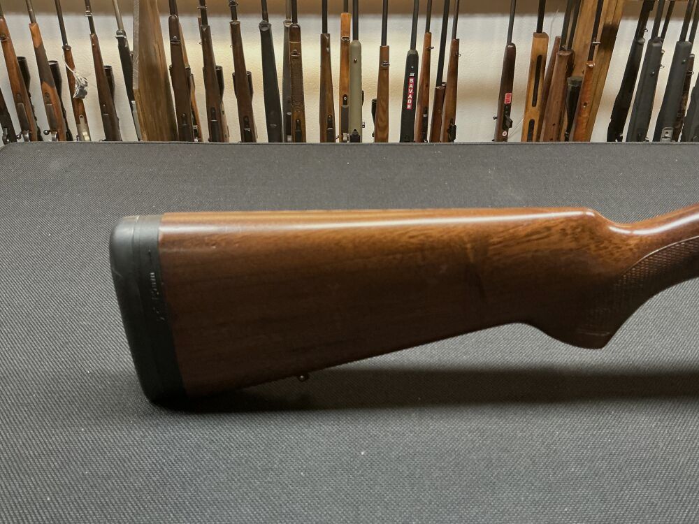 Gladius Adventure 12/70, image 3 of 10