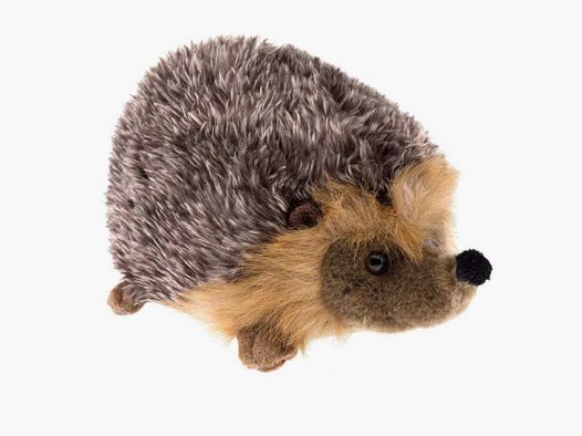 Igel Plüsch