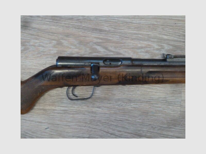 Heinzelmann Mod. Heim