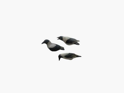 KIT 3PZ STAMPI FINAL APPROACH CORNACCHIA GRIGIA