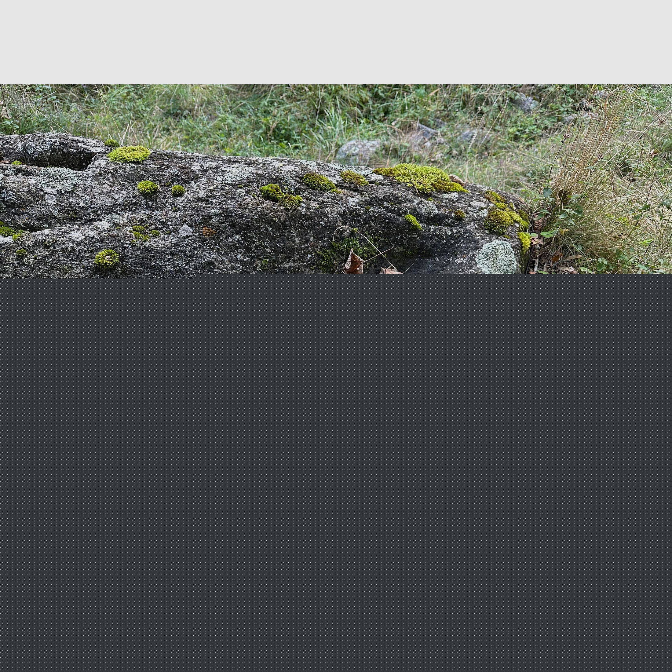 Blaser R93 in caliber 8x68S