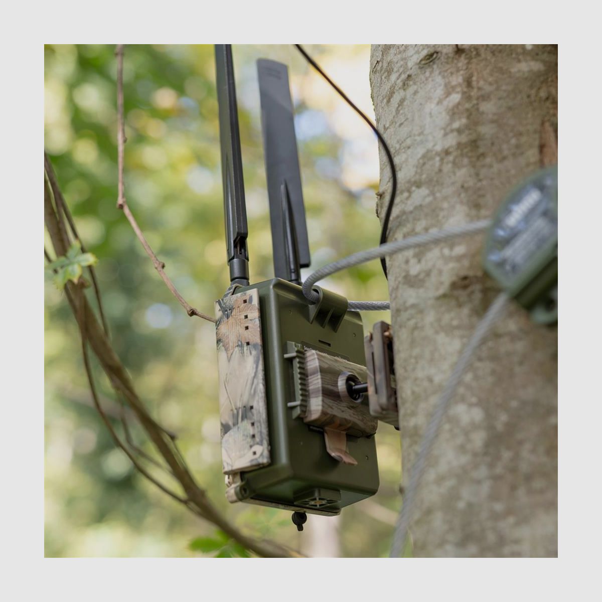 DÖRR Haltesystem Multi für SnapShot camouflage